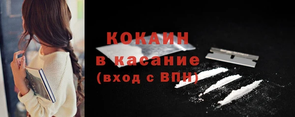 твердый Пестово