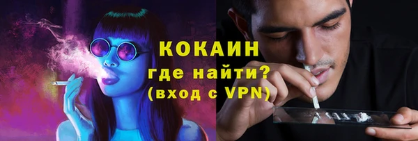 твердый Пестово