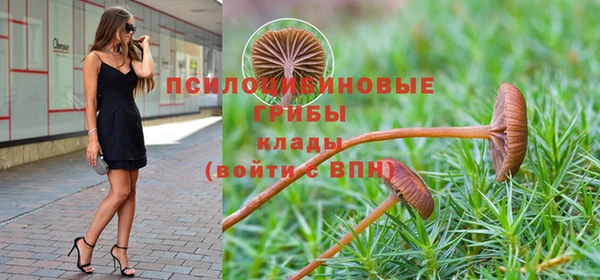 не бодяженный Пересвет