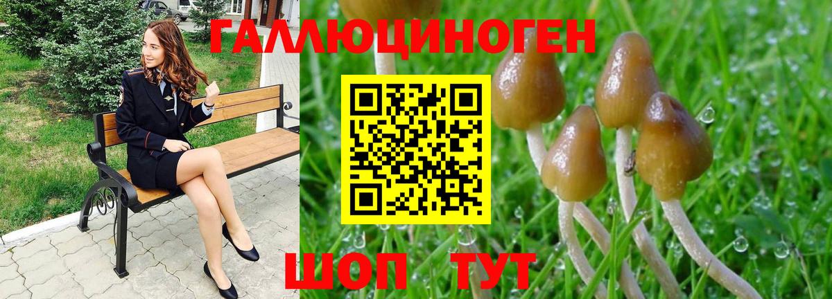 Псилоцибиновые грибы GOLDEN TEACHER  Галлюциногенные грибы MAGIC MUSHROOMS  Кольчугино 