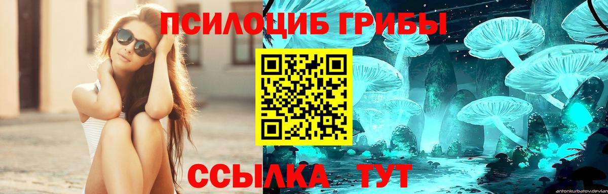 Псилоцибиновые грибы MAGIC MUSHROOMS  Вход с VPN  Кольчугино 